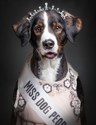 DOG PEOPLE