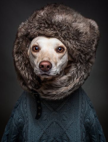 DOG PEOPLE