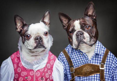 DOG PEOPLE