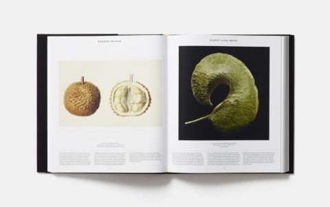 PLANT - EXPLORING THE BOTANICAL WORLD