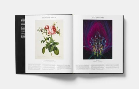PLANT - EXPLORING THE BOTANICAL WORLD