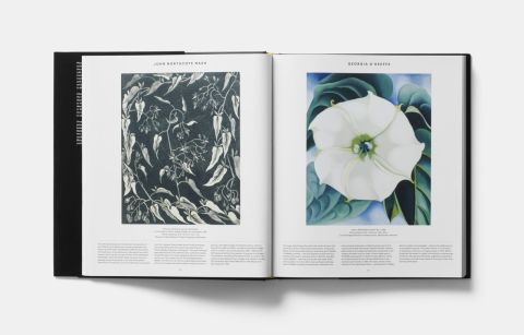 PLANT - EXPLORING THE BOTANICAL WORLD