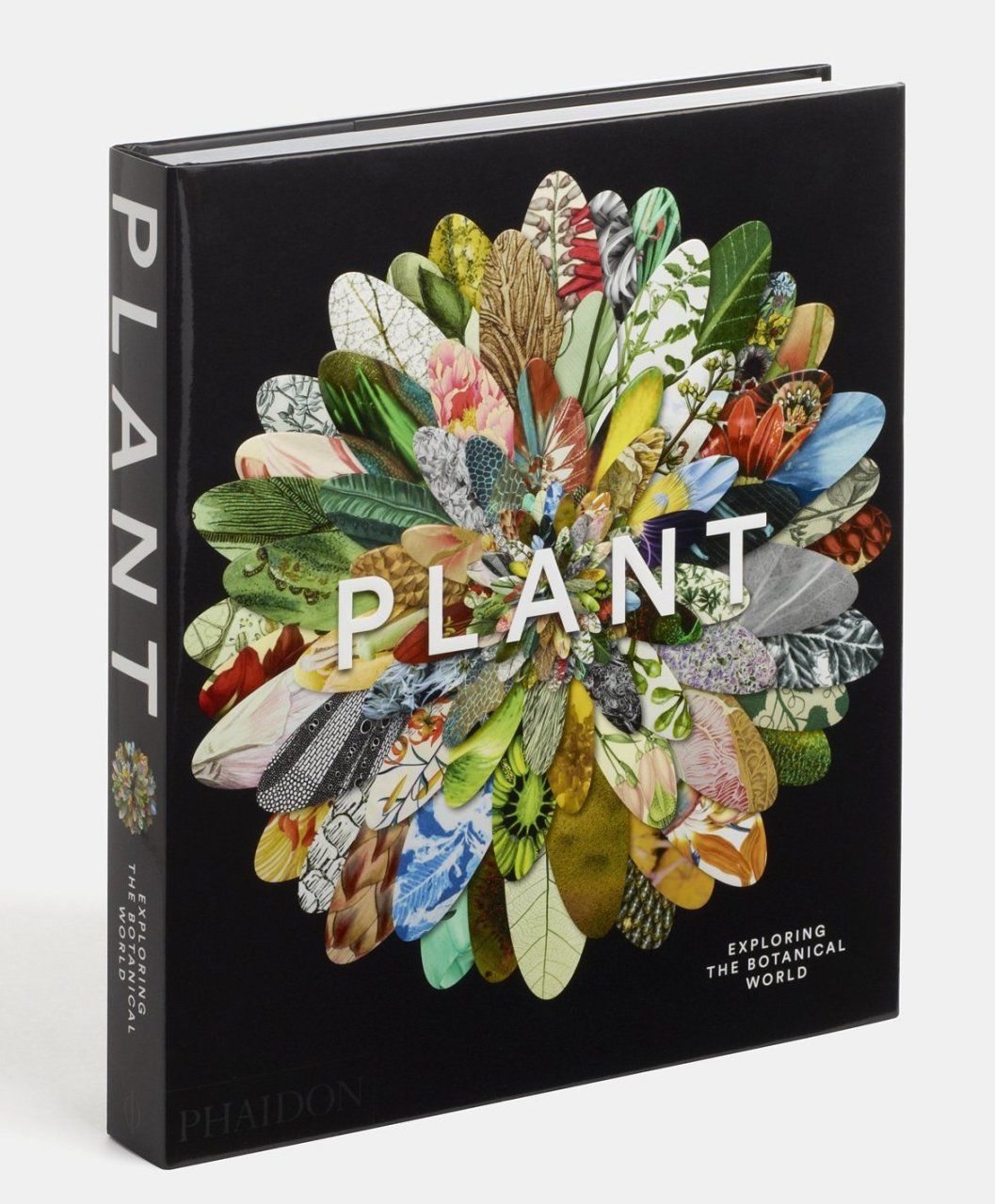 PLANT - EXPLORING THE BOTANICAL WORLD