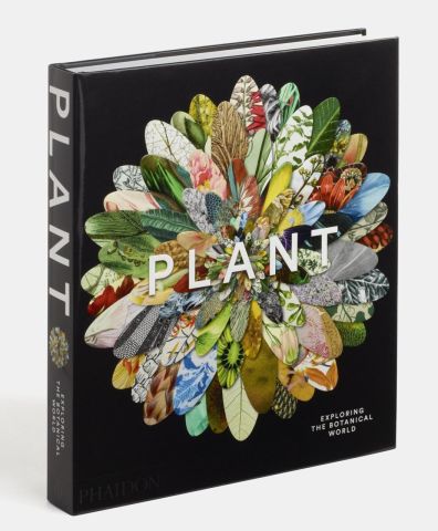 PLANT - EXPLORING THE BOTANICAL WORLD