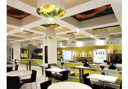 NEW SPACE NO:6 CAFE & RESTAURANT II
