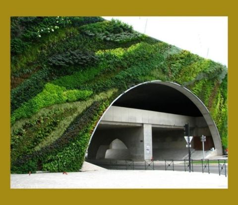THE VERTICAL GARDEN