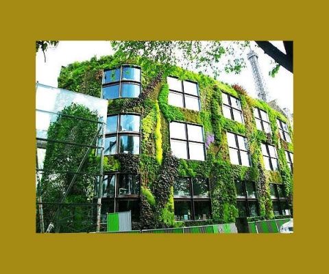 THE VERTICAL GARDEN
