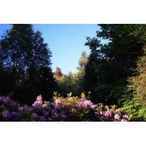 FRENCH COUNTRY GARDEN
