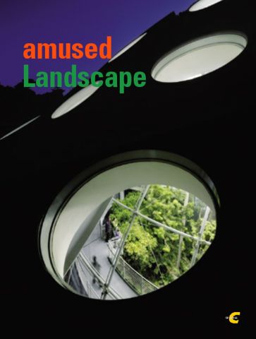 AMUSED LANDSCAPE