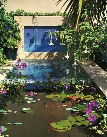 MODERN TROPICAL GARDEN DESIGN