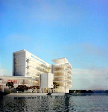 RICHARD MEIER ARCHITECT 5 - (P.B)