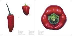 VEGETABLES-THE AGILE RABBIT VISUAL DICTIONARY