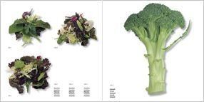 VEGETABLES-THE AGILE RABBIT VISUAL DICTIONARY