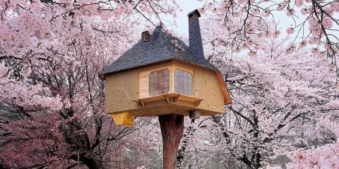 TREE HOUSES