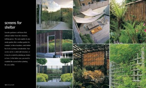 WELL-DESIGNED GARDEN