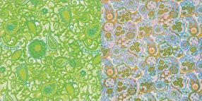 1960'S PAISLEY -(CD'Lİ)