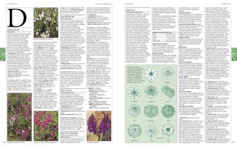 A-Z ENCYCLOPEDIA OF GARDEN PLANTS THIRD EDITION