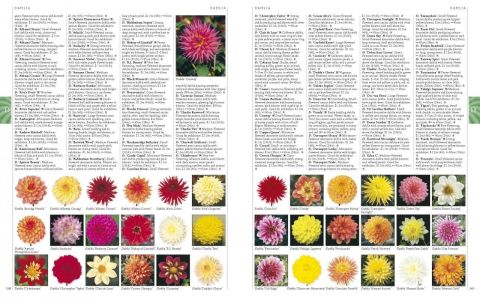 A-Z ENCYCLOPEDIA OF GARDEN PLANTS THIRD EDITION