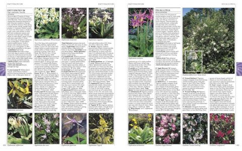 A-Z ENCYCLOPEDIA OF GARDEN PLANTS THIRD EDITION
