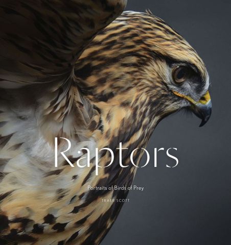 Raptors:Portraits of Birds of Prey