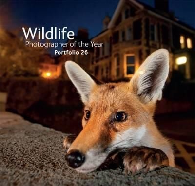 WILDLIFE PHOTOGRAPHER OF THE YEAR PORTFOLIO 26