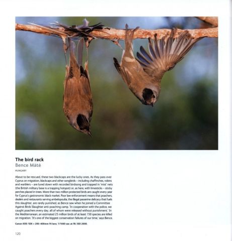 WILDLIFE PHOTOGRAPHER OF THE YEAR PORTFOLIO 27