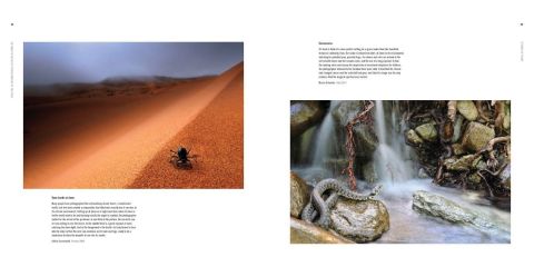 WILDLIFE PHOTOGRAPHER OF THE YEAR PORTFOLIO 27