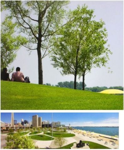 COLLECTION - LANDSCAPE ARCHITECTURE
