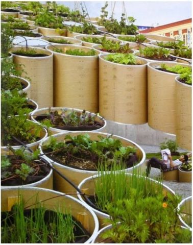 COLLECTION - LANDSCAPE ARCHITECTURE