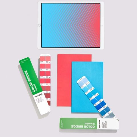 PANTONE COLOR BRIDGE COATED & UNCOATED (2 GUIDES SET)