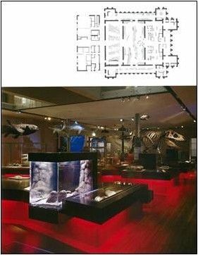 HAUTE SPACES EXHIBITIONS