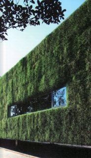ECOLOGICAL URBANISM