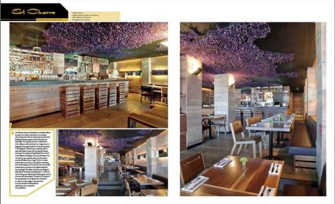 RESTAURANT & BAR DESIGN 2