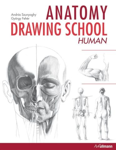 ANATOMY DRAWING SCHOOL HUMAN