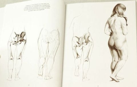 ANATOMY DRAWING SCHOOL HUMAN