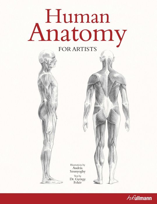 HUMAN ANATOMY FOR ARTISTS