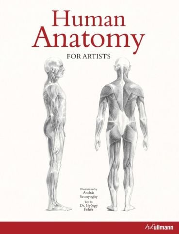 HUMAN ANATOMY FOR ARTISTS
