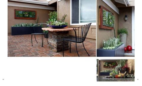 ORNAMENTAL PLANTS IN THE LANDSCAPE