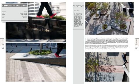 LANDSCAPE DESIGN SERIES: LANDSCAPE PAVING