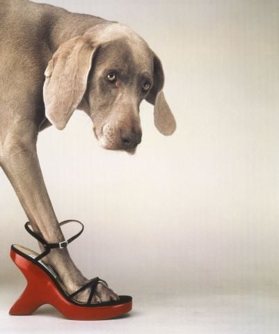 BEING HUMAN - WILLIAM WEGMAN