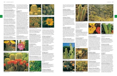 BOTANICA - H.F.ULLMANN
