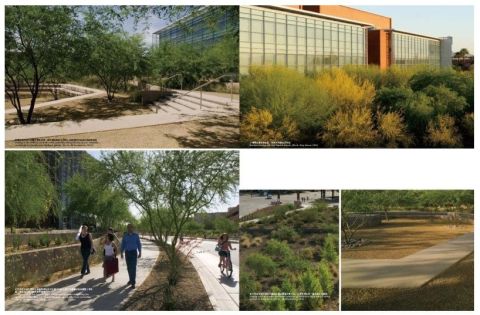LANDSCAPE DESIGN FOR SCHOOLS