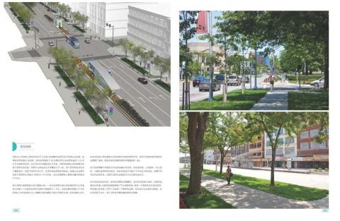 STREET & ROAD LANDSCAPE DESIGN