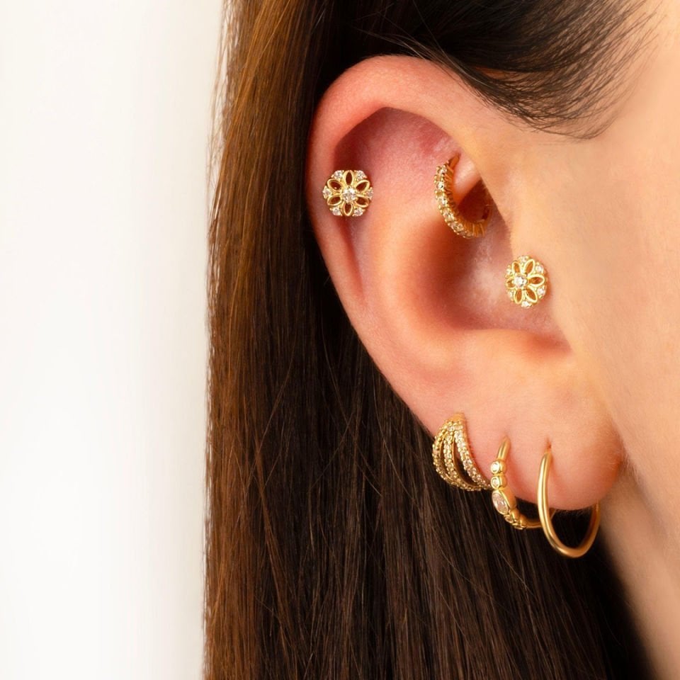 Daisy Bia Tragus