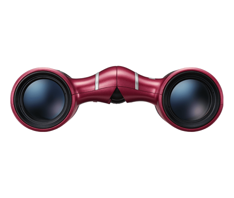 Nikon Aculon T02 8x21 Dürbün (Red)