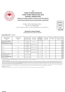 TADINDA SOĞUK SIKIM, 750 ml Cam Şişe 2024 hasadı