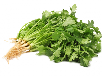 Aşotu (Salamura)