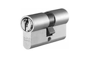 Dorma - dormakaba Barel 60Mm 30+30 Nikel