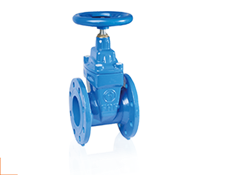 Sürgülü Vana DN65 21/2 Elastomer Baskılı (F4)-Sfero Döküm