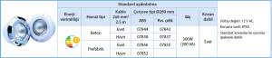 PAR56 300W 12V AC halojen lamba Paslanmaz çelik çerçeveli beton havuz lambası (Kablosuz)